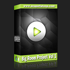 Bigroom Project Vol 1 (FL Studio工程)